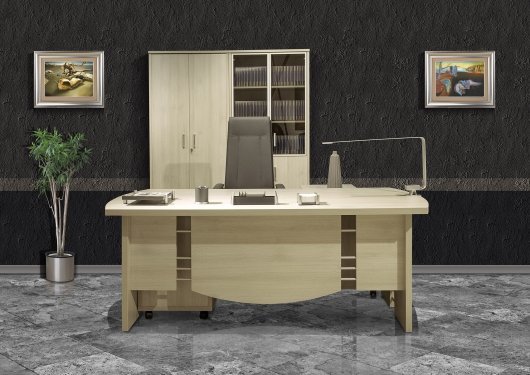 Кабинет руководителя &laquo;BORN&raquo; - вид 3